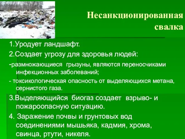 Несанкционированная свалка 1.Уродует ландшафт. 2.Создает угрозу для здоровья людей: -размножающиеся грызуны, являются