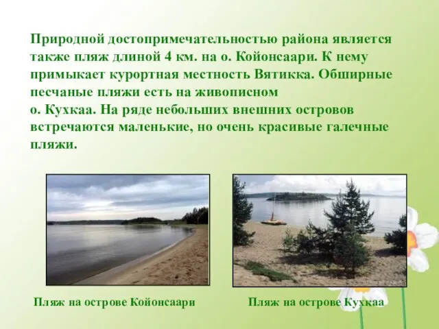 Природной достопримечательностью района является также пляж длиной 4 км. на о. Койонсаари.