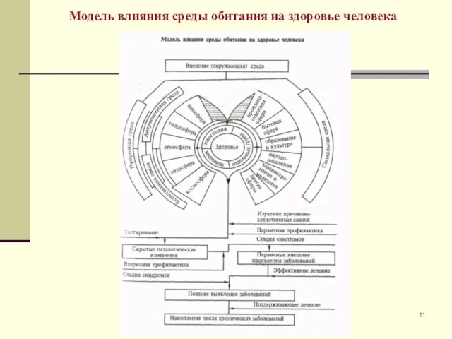 Модель влияния среды обитания на здоровье человека