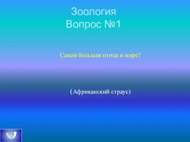 Зоология Вопрос №1 Самая большая птица в мире? (Африканский страус)