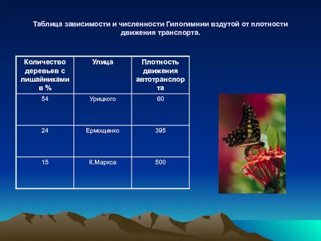 Таблица зависимости и численности Гипогимнии вздутой от плотности движения транспорта.