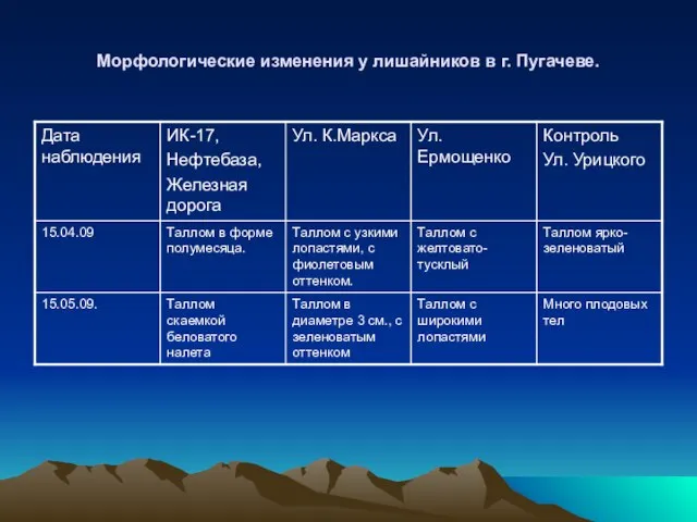 Морфологические изменения у лишайников в г. Пугачеве.