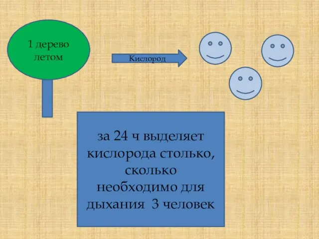 1 дерево летом за 24 ч выделяет кислорода столько, сколько необходимо для дыхания 3 человек Кислород