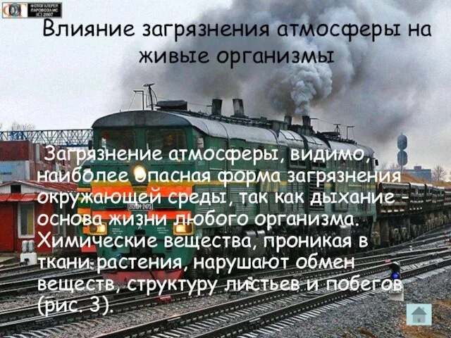 Влияние загрязнения атмосферы на живые организмы Загрязнение атмосферы, видимо, наиболее опасная форма