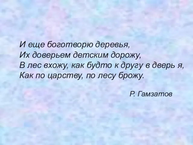 И еще боготворю деревья, Их доверьем детским дорожу, В лес вхожу, как