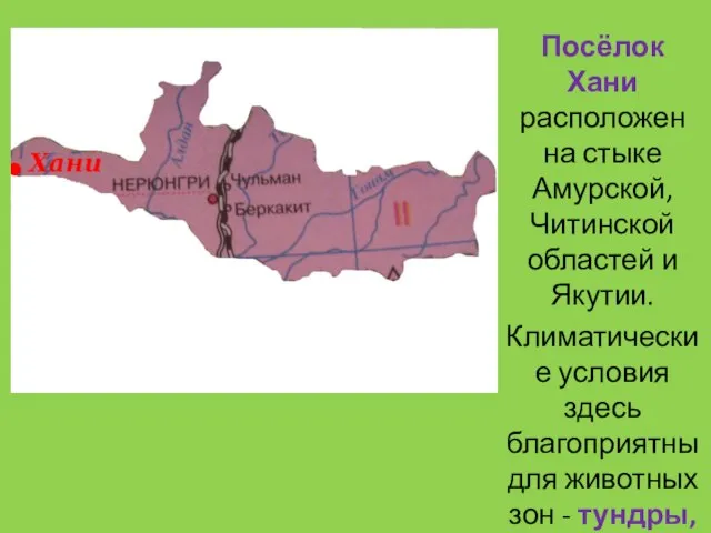 Посёлок Хани расположен на стыке Амурской, Читинской областей и Якутии. Климатические условия