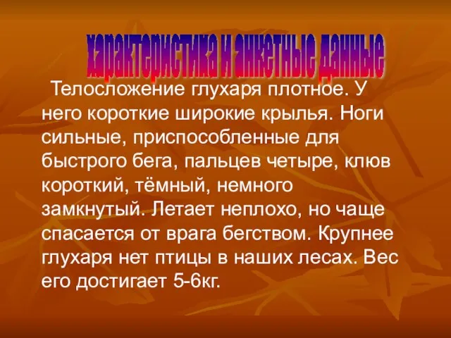 характеристика и анкетные данные Телосложение глухаря плотное. У него короткие широкие крылья.