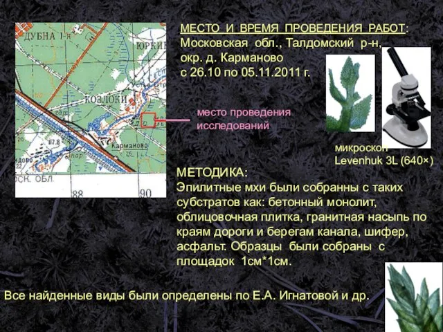 место проведения исследований Все найденные виды были определены по Е.А. Игнатовой и