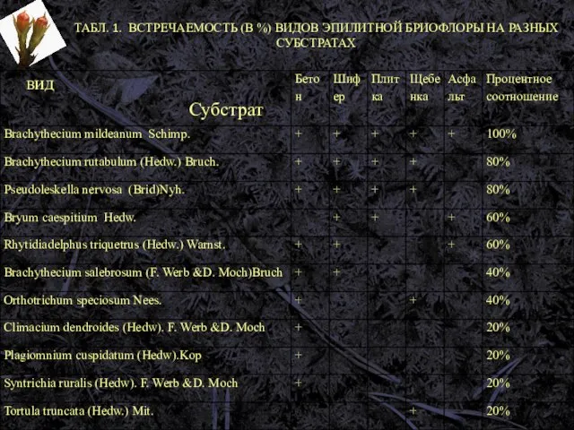 ТАБЛ. 1. ВСТРЕЧАЕМОСТЬ (В %) ВИДОВ ЭПИЛИТНОЙ БРИОФЛОРЫ НА РАЗНЫХ СУБСТРАТАХ