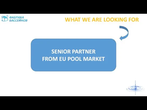 WHAT WE ARE LOOKING FOR SENIOR PARTNER FROM EU POOL MARKET