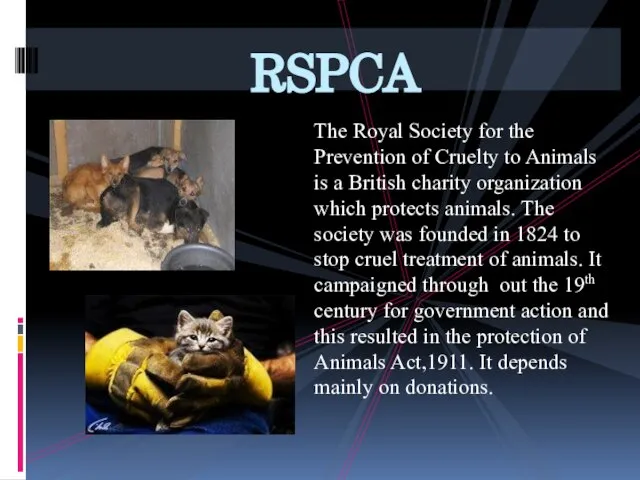 The Royal Society for the Prevention of Cruelty to Animals is a