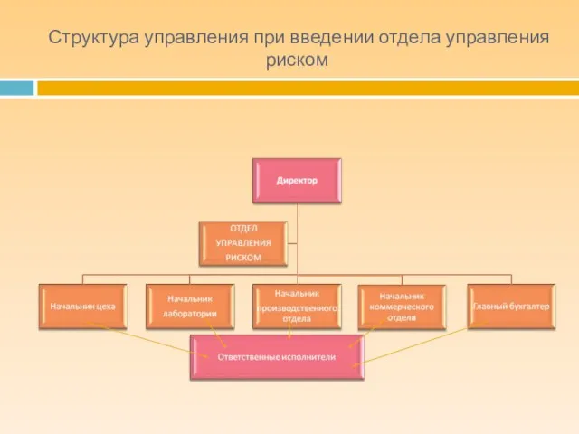 Структура управления при введении отдела управления риском