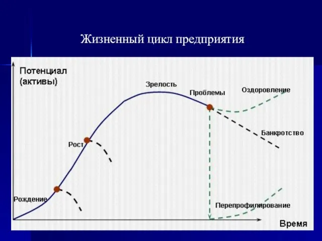 Жизненный цикл предприятия