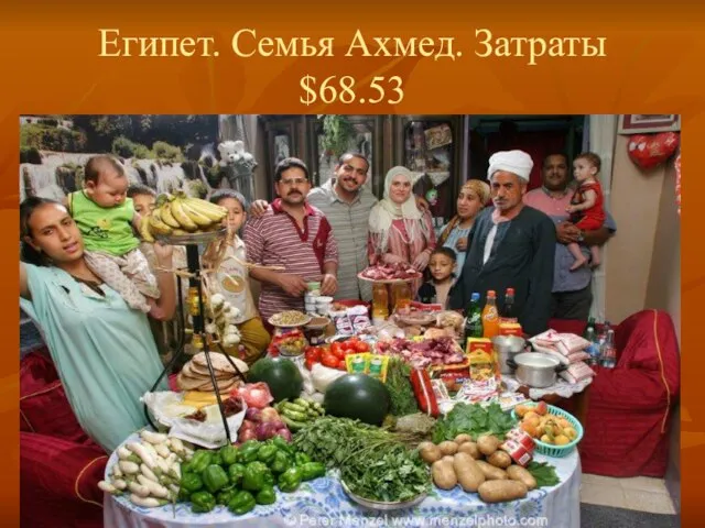 Египет. Семья Ахмед. Затраты $68.53