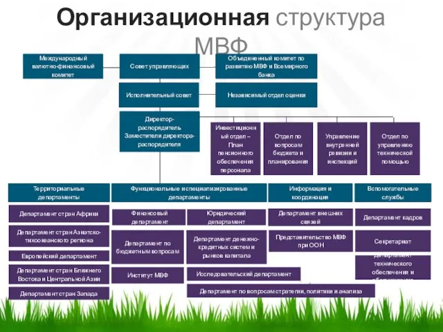 Организационная структура МВФ