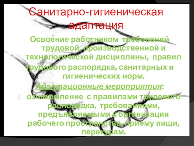 Санитарно-гигиеническая адаптация Освоение работником требований трудовой, производственной и технологической дисциплины, правил трудового