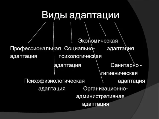 Виды адаптации Экономическая Профессиональная Социально- адаптация адаптация психологическая адаптация Санитарно - гигиеническая