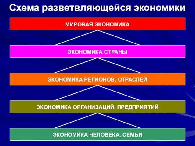 МИРОВАЯ ЭКОНОМИКА ЭКОНОМИКА СТРАНЫ ЭКОНОМИКА РЕГИОНОВ, ОТРАСЛЕЙ ЭКОНОМИКА ОРГАНИЗАЦИЙ, ПРЕДПРИЯТИЙ ЭКОНОМИКА ЧЕЛОВЕКА, СЕМЬИ Схема разветвляющейся экономики