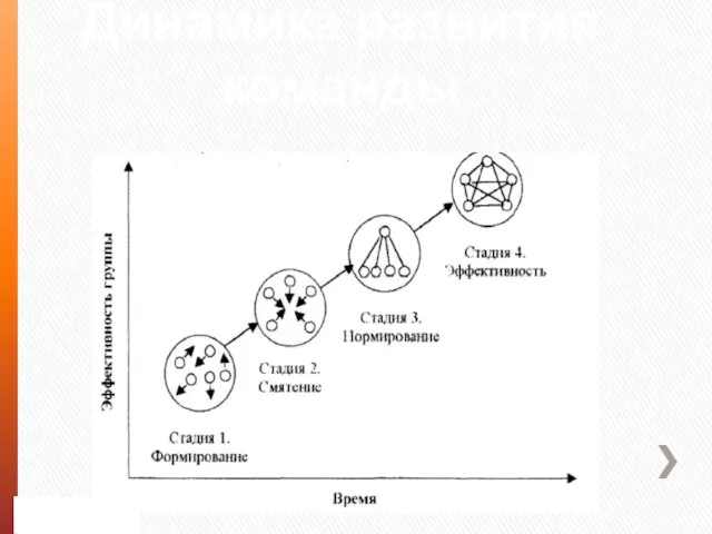 Динамика развития команды