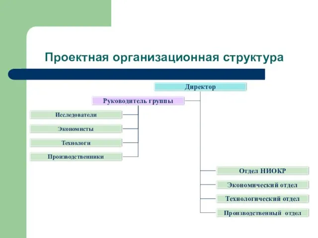 Проектная организационная структура