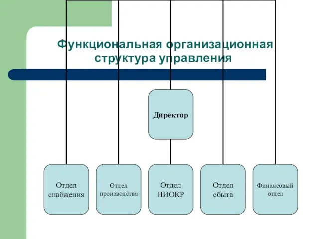 Функциональная организационная структура управления