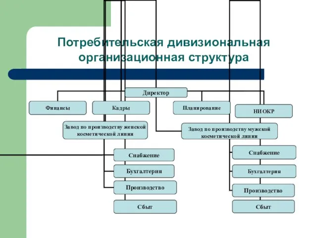 Потребительская дивизиональная организационная структура