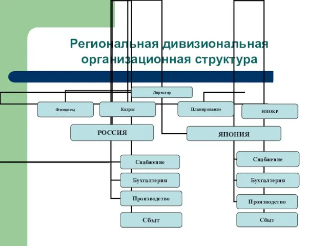 Региональная дивизиональная организационная структура