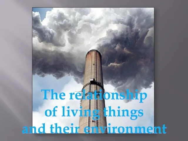 The relationship of living things and their environment The relationship of living things and their environment