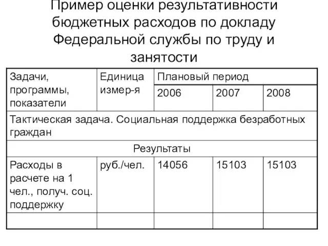 Пример оценки результативности бюджетных расходов по докладу Федеральной службы по труду и занятости