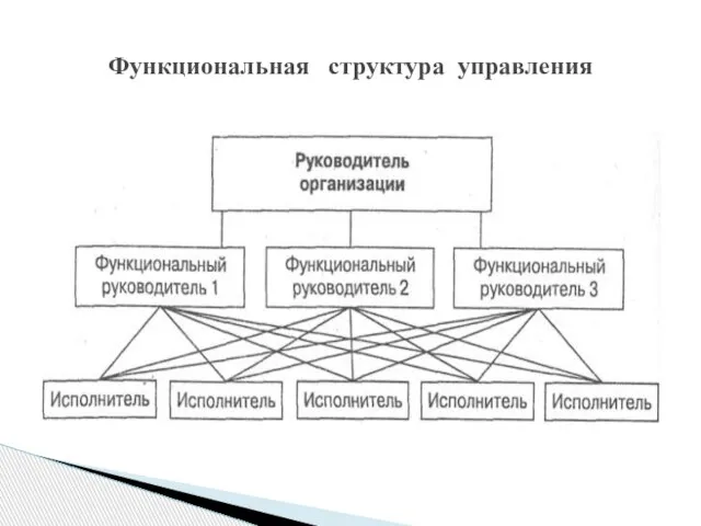 Функциональная структура управления