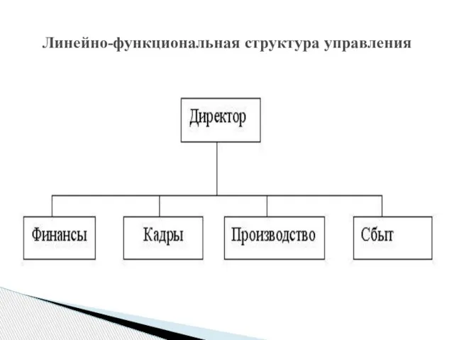 Линейно-функциональная структура управления