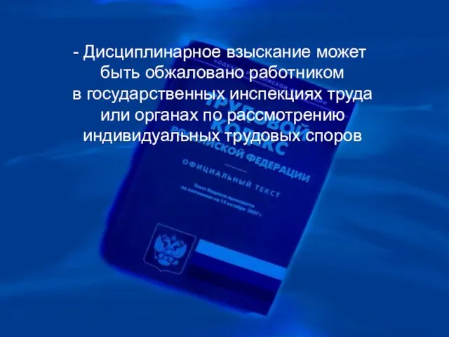 Дисциплинарное взыскание может быть обжаловано работником в государственных инспекциях труда или органах