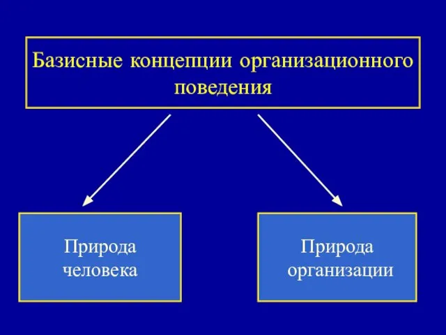 Базисные концепции организационного поведения Природа человека Природа организации