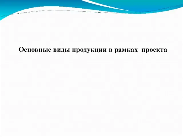 Основные виды продукции в рамках проекта