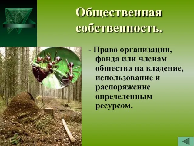 Общественная собственность. - Право организации, фонда или членам общества на владение, использование и распоряжение определенным ресурсом.