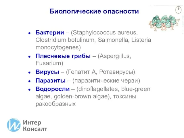 Биологические опасности Бактерии – (Staphylococcus aureus, Clostridium botulinum, Salmonella, Listeria monocytogenes) Плесневые