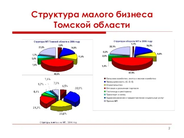 Структура малого бизнеса Томской области