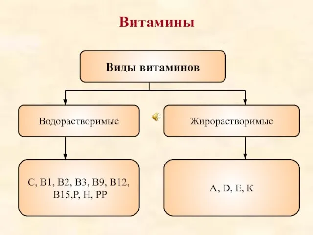 Витамины