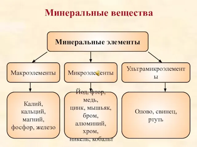 Минеральные вещества