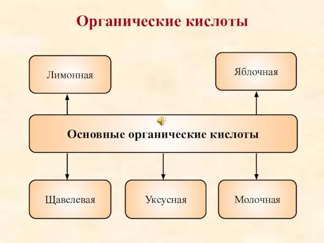 Органические кислоты