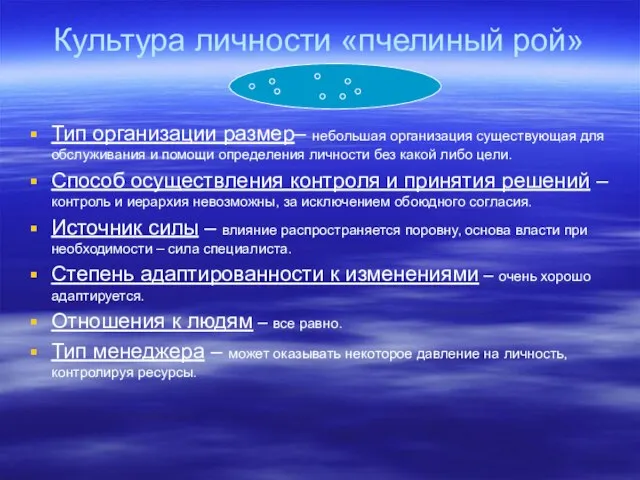 Культура личности «пчелиный рой» Тип организации размер– небольшая организация существующая для обслуживания