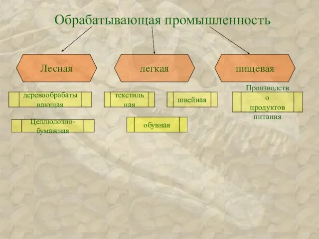 Обрабатывающая промышленность Лесная легкая пищевая текстильная обувная швейная Производство продуктов питания Целлюлозно-бумажная деревообрабатывающая