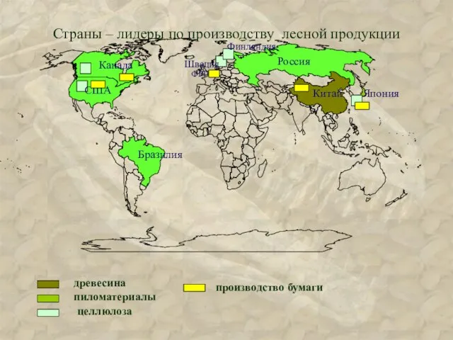 Страны – лидеры по производству лесной продукции древесина