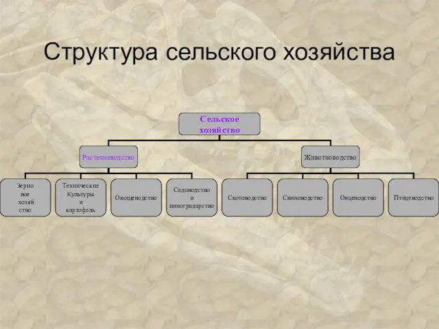 Структура сельского хозяйства