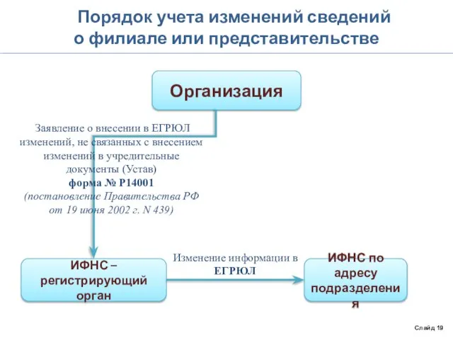 Порядок учета изменений сведений о филиале или представительстве Слайд 19 Организация ИФНС