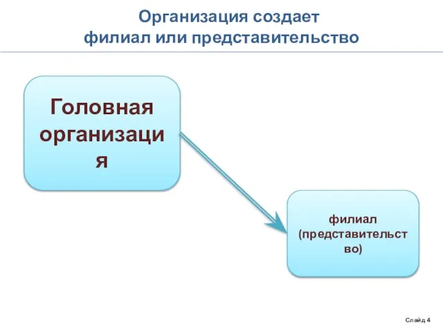 Организация создает филиал или представительство Слайд 4 Головная организация филиал (представительство)