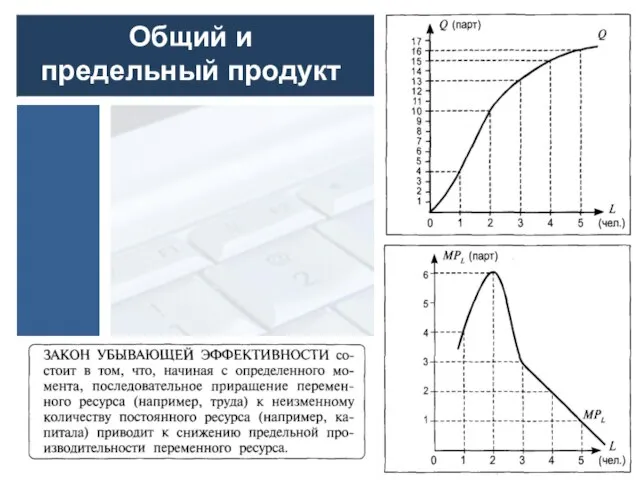 Общий и предельный продукт