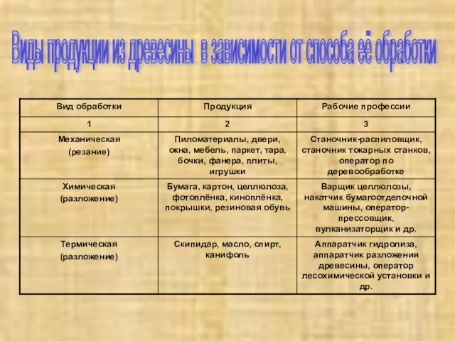 Виды продукции из древесины в зависимости от способа её обработки