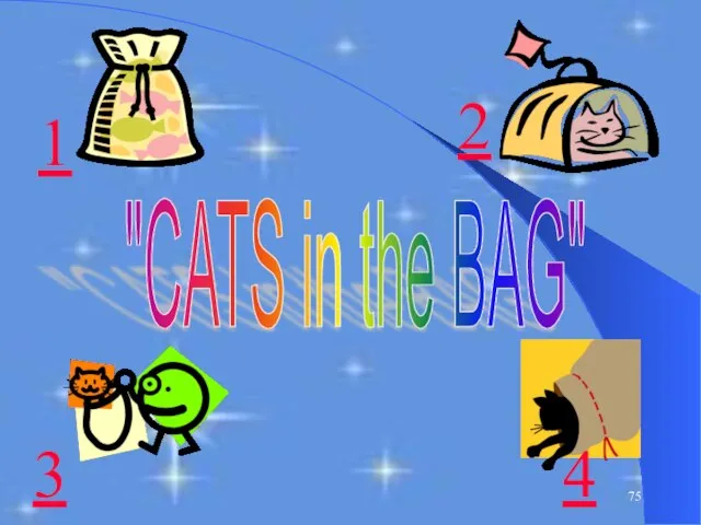 "CATS in the BAG" 1 3 4 2