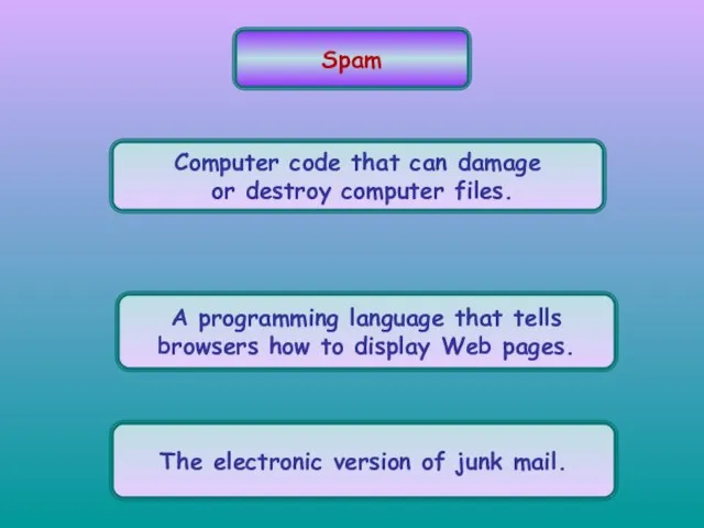 Spam Computer code that can damage or destroy computer files. A programming